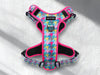 Haus of Hank: Pink Paw Setter - No Pull Harness