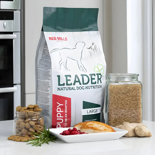 Leader: Large Puppy (12kg) - Dry Dog Food